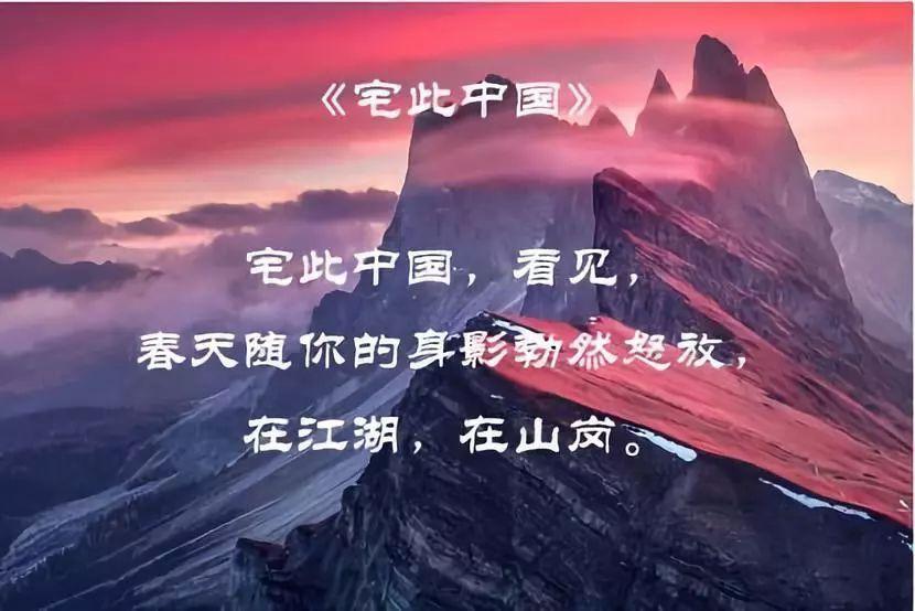 从零开始养好龟，预算五百元以内够不够？